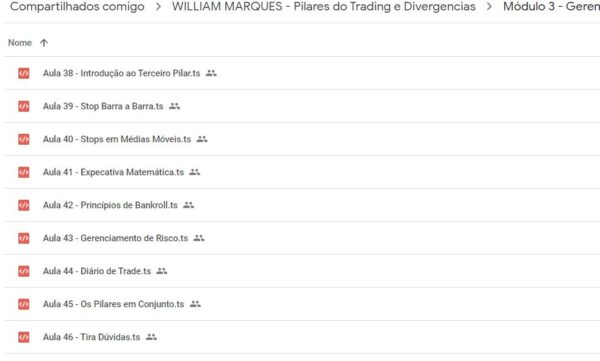 Curso pilares do trading e divergencias william marques03