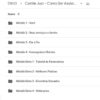 curso Como Ser Assistente Virtual camile just