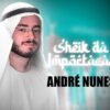 curso Sheik Da Importação